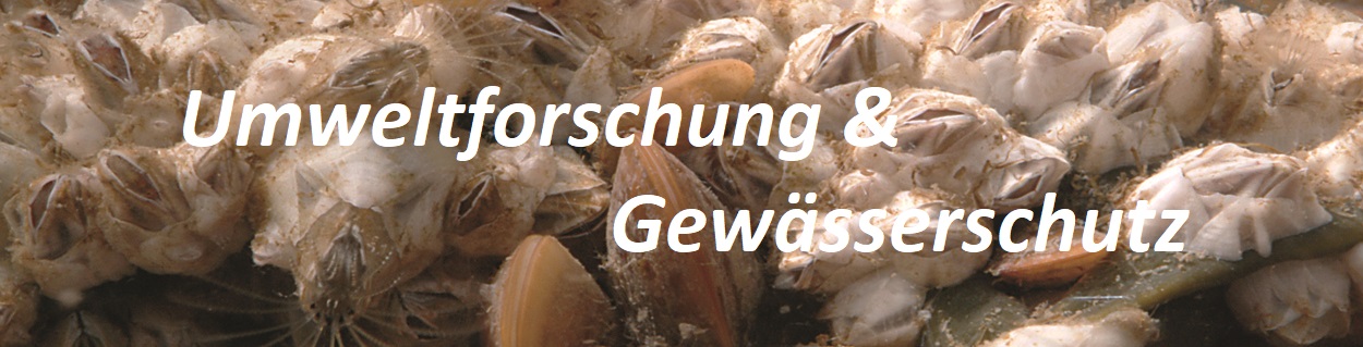 Umweltforschung & & Gewässerschutz